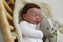 Load image into Gallery viewer, ADIRA cuddle head